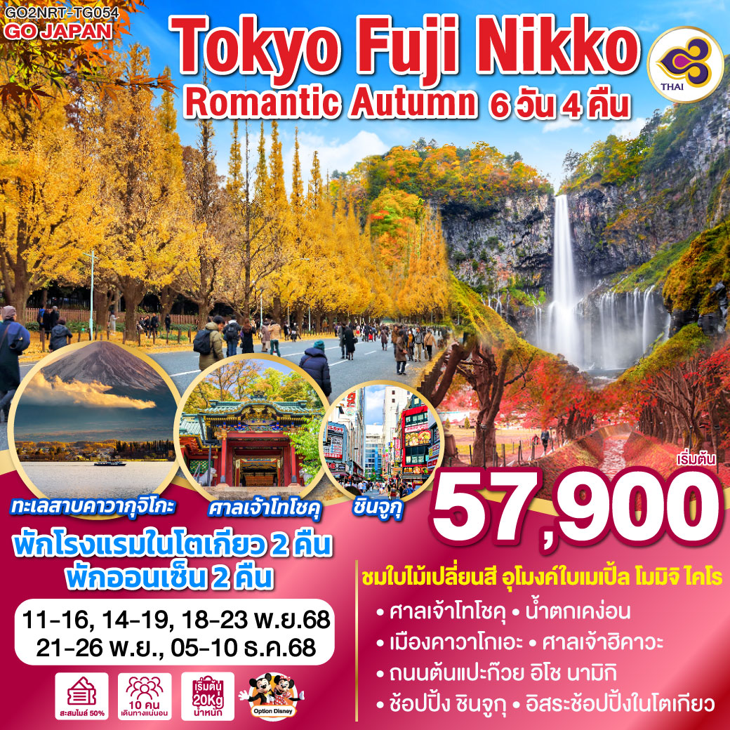ทัวร์ญี่ปุ่น TOKYO FUJI NIKKO ROMANTIC AUTUMN 6วัน 4คืน (TG)