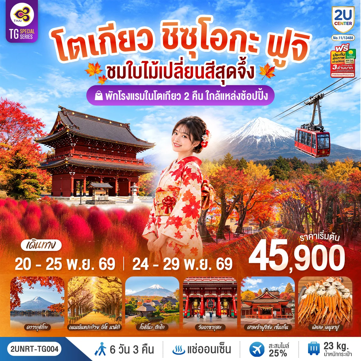 โตเกียว ชิซุโอกะ ฟูจิ นั่งกระเช้าคาจิคาจิ ชมใบไม้เปลี่ยนสีสุดจึ้ง 6วัน 3คืน (TG)